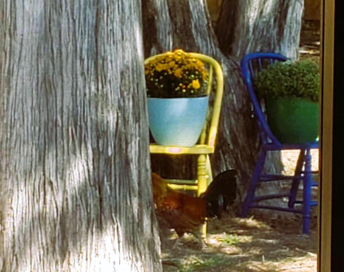 Midtown Southern Charm Tyler Exteriör bild